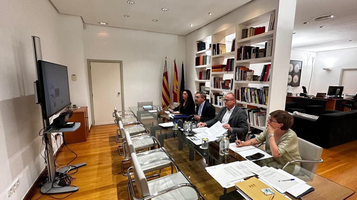 Asamblea online del Consejo Valenciano de Universidades celebrado este martes