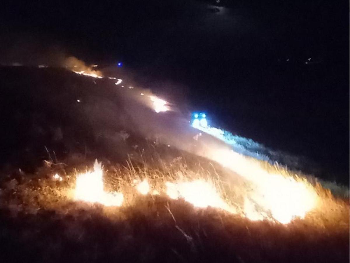 El incendio que ha afectado a la Timonenda d'Alfés.