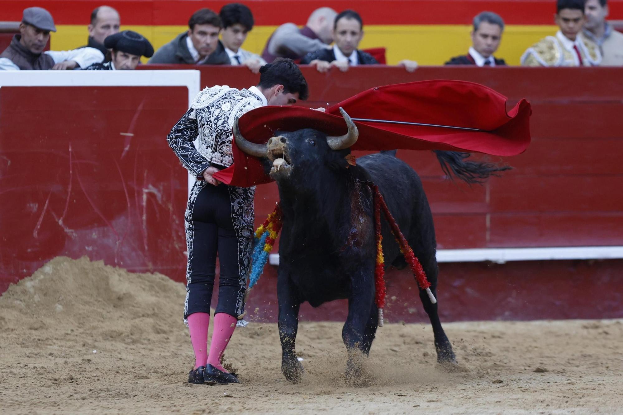La novillada sin picadores de la Feria de Fallas, en imágenes