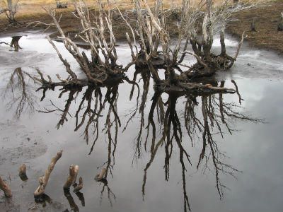 La exposición 'Tierra inundada' se puede ver en el MUA hasta el 24 de julio