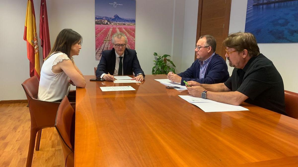 Reunión este miércoles entre Satse y el consejero de Salud