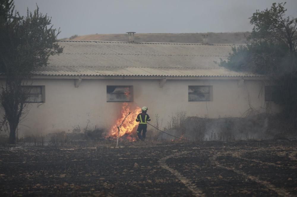 El incendio en el polígono industrial Campo de aviación de Coreses, en imágenes