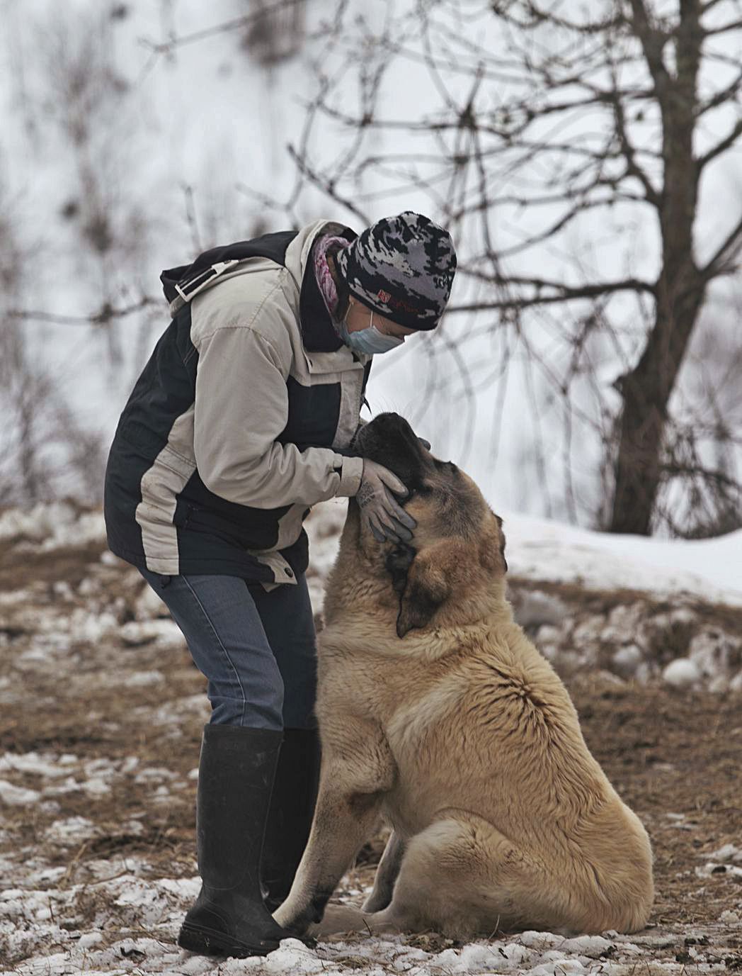 La ganadera mima a uno de los perros que cuidan del ganado. | M. López