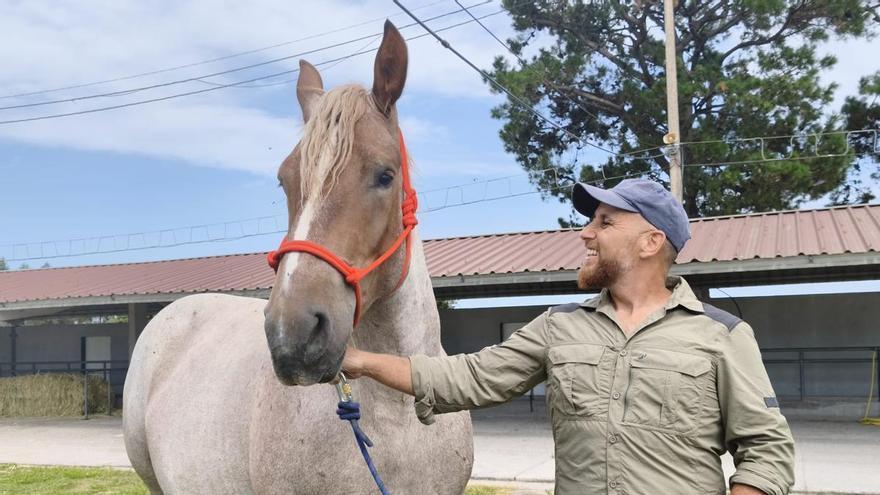 "Nevada", la yegua bretona que fascina en el concurso de Llanera: "Tiene una capa que se encuentra muy pocas veces"