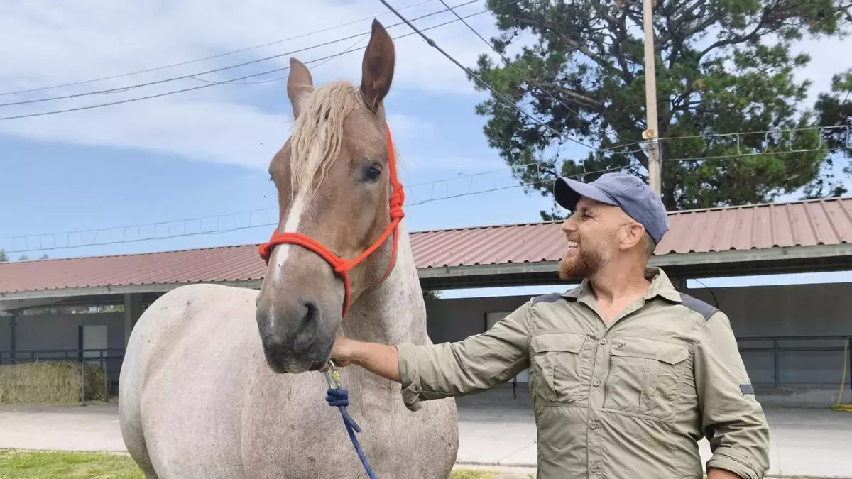 "Nevada", la yegua bretona que fascina en el concurso de Llanera: "Tiene una capa que se encuentra muy pocas veces"