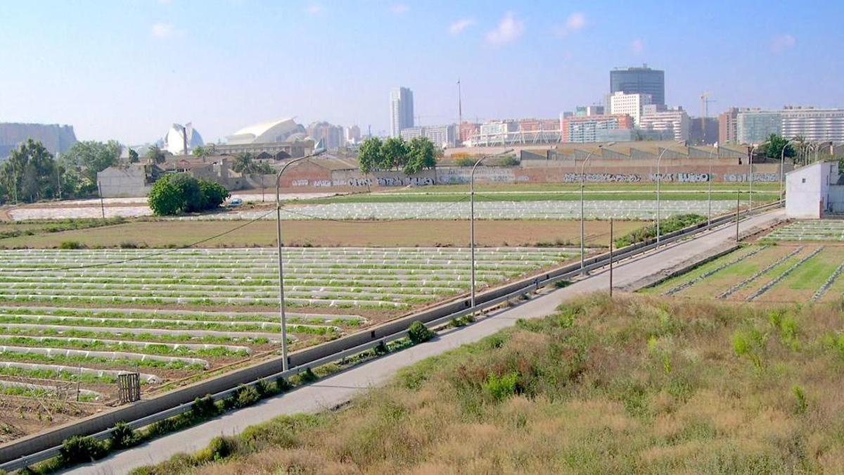 1.Regadíos de Valladar. Sistema de Rovella.