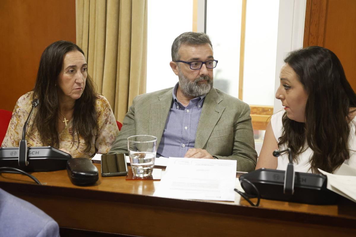 A.J.González Córdoba Pleno del Ayuntamiento del mes de Junio