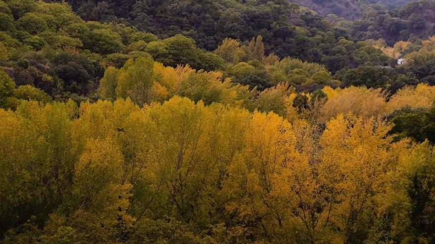 Una vista del Valle del Genal desde Igualeja.