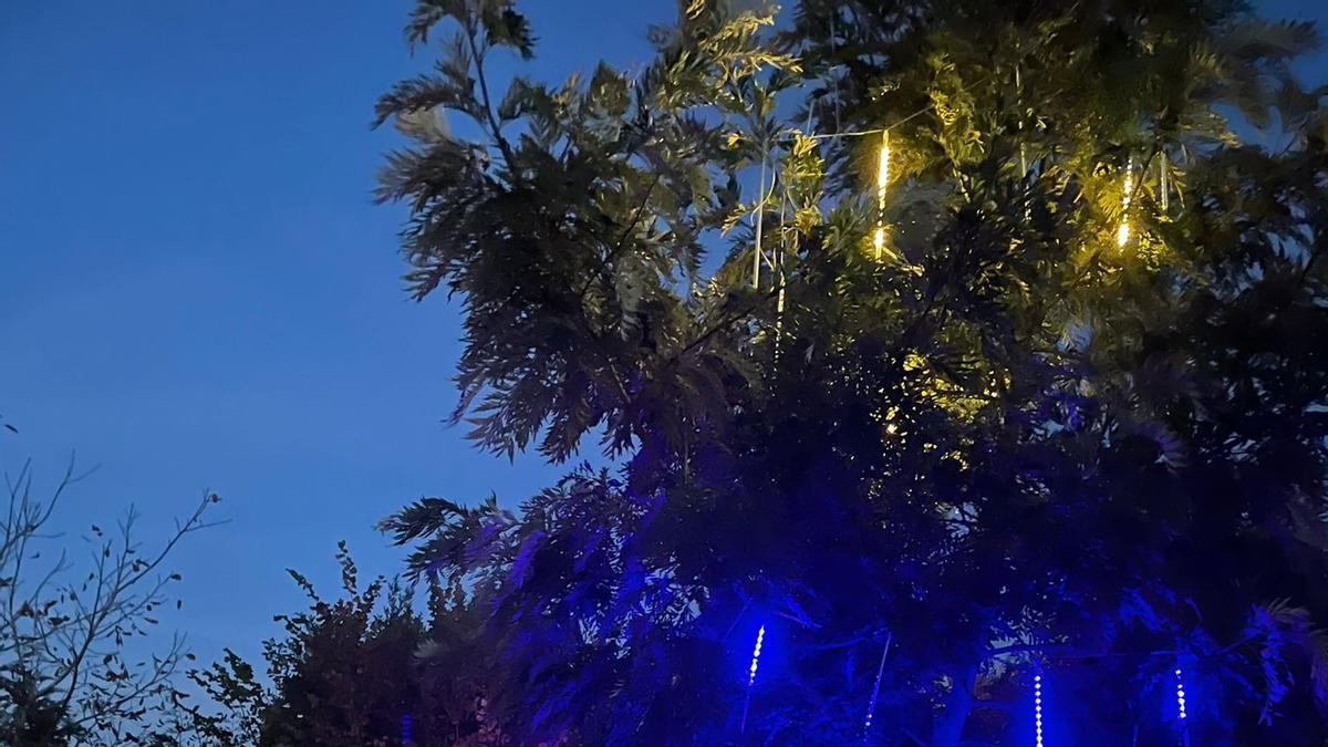 Los huertos de Cabueñes vuelven a iluminarse por Navidad