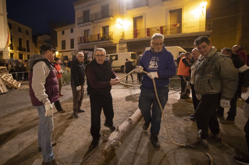 Sant Antoni arranca en Sagunt con la tradicional Plantà del Pi