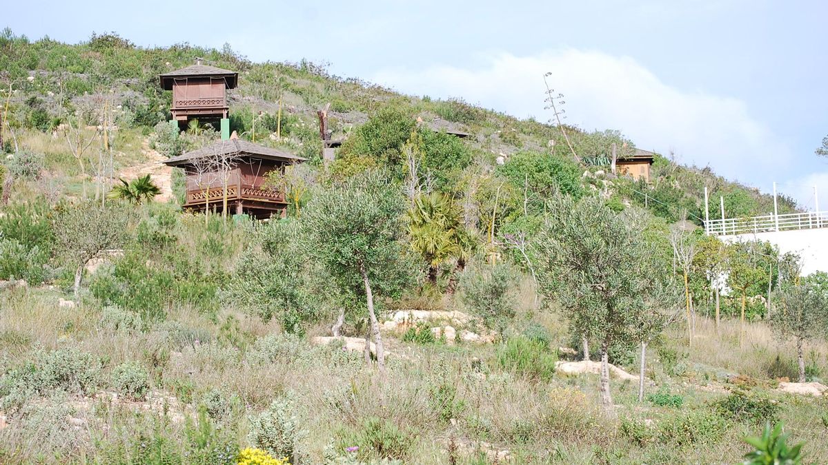 En la imagen se aprecian tres de las nueve construcciones ilegales en un monte de Benirràs.