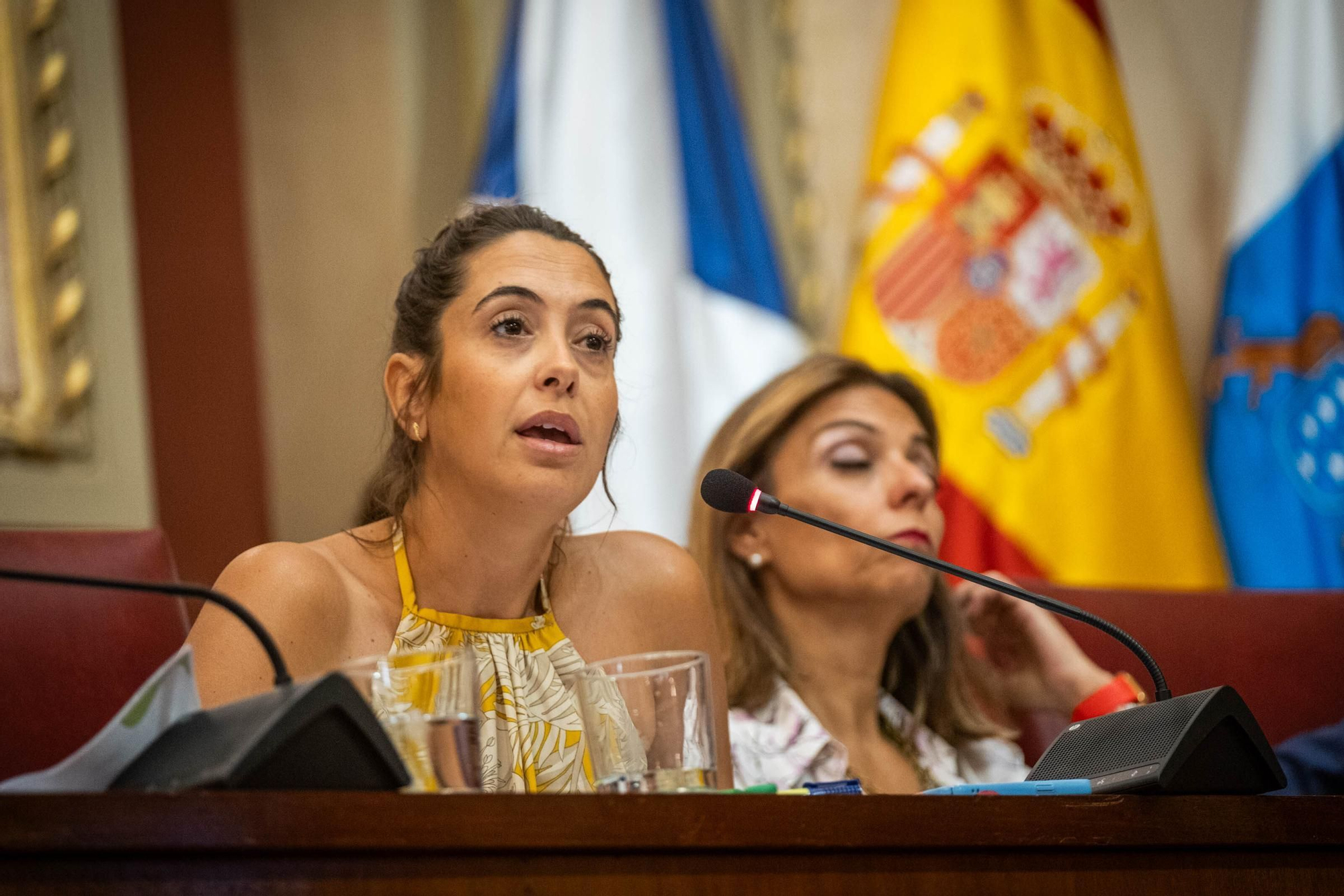 Pleno de Santa Cruz de Tenerife