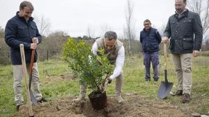 Ya se han plantado 150.000 árboles en el corredor Arco Verde