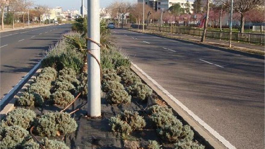 Provocan un accidente con una manguera colocada en medio de la calle