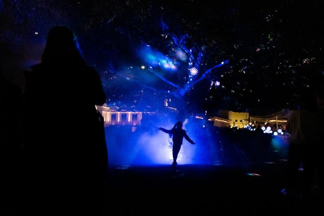 Plaza Mayor se enciende en Navidad: los Jardines Encantados de Málaga