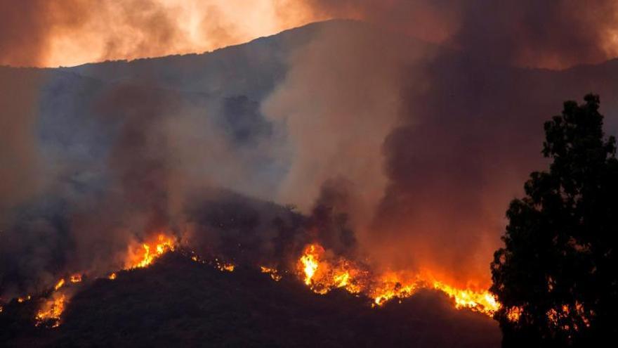 El incendio en Estepona permanece activo.