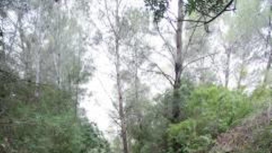 Un partidor de aguas y una acequia pertenecientes a la red de irrigación de los Canales Altos del Río Serpis, en el término de Villalonga.