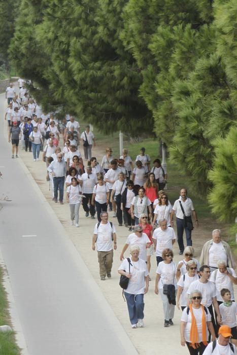 Paseo saludable por el Día Internacional de las Personas Mayores