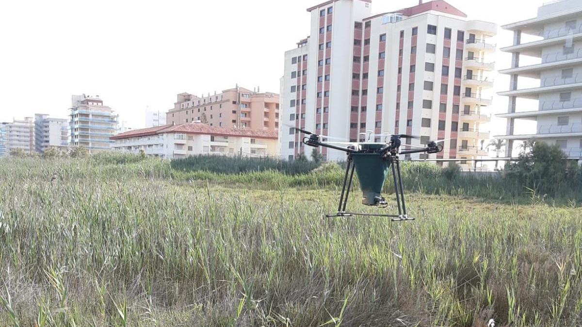 Frente común entre las instituciones para luchar contra los mosquitos en Castellón