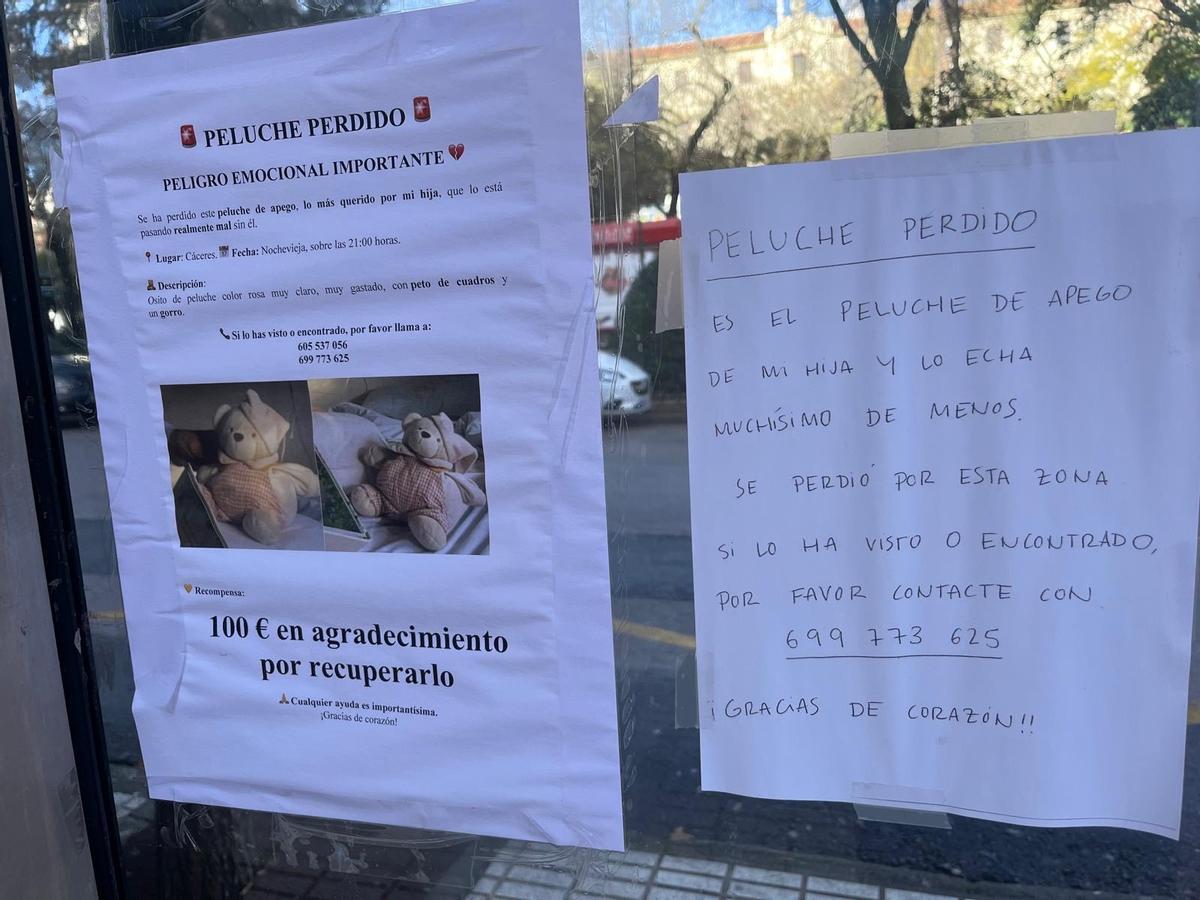 Anuncio del peluche perdido situado en una de las calles de Cáceres.