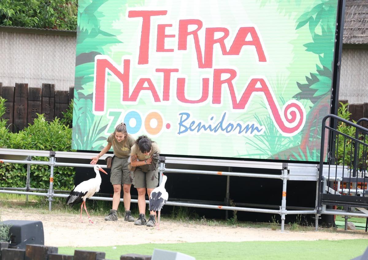 El foro Creciendo Juntos en TERRA NATURA, en imágenes