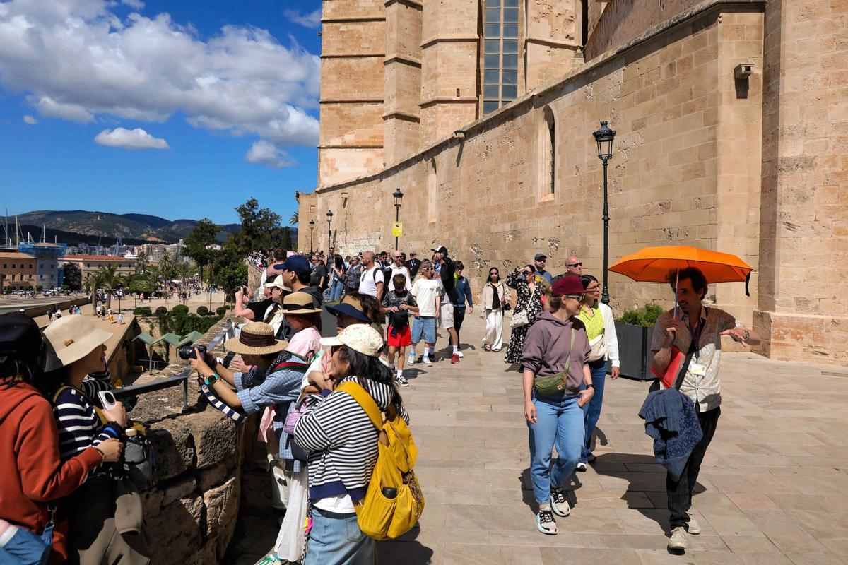 Folgen Sie dem orangenfarbenen Sonnenschirm: Er ist das Erkennungszeichen für die Mallorca Free Tour.