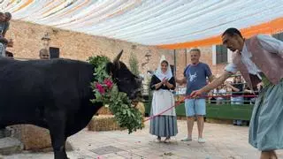 Fornalutx mantiene viva su tradición más especial con la Baixada del Bou