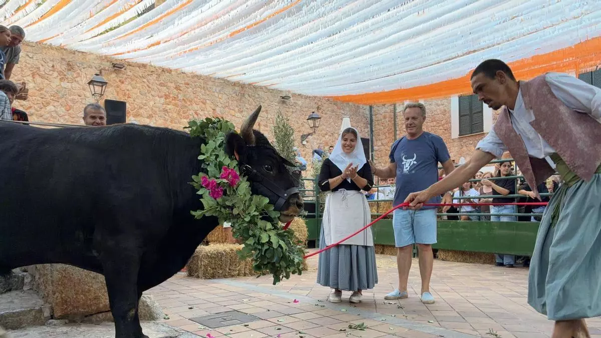 Fornalutx mantiene viva su tradición más especial con la Baixada del Bou