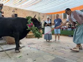 Así ha sido la tradicional Baixada del Bou de Fornalutx