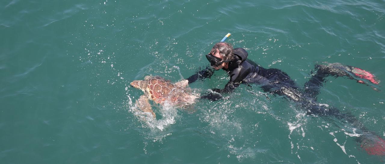 El CREMA libera a dos tortugas en la costa de Málaga