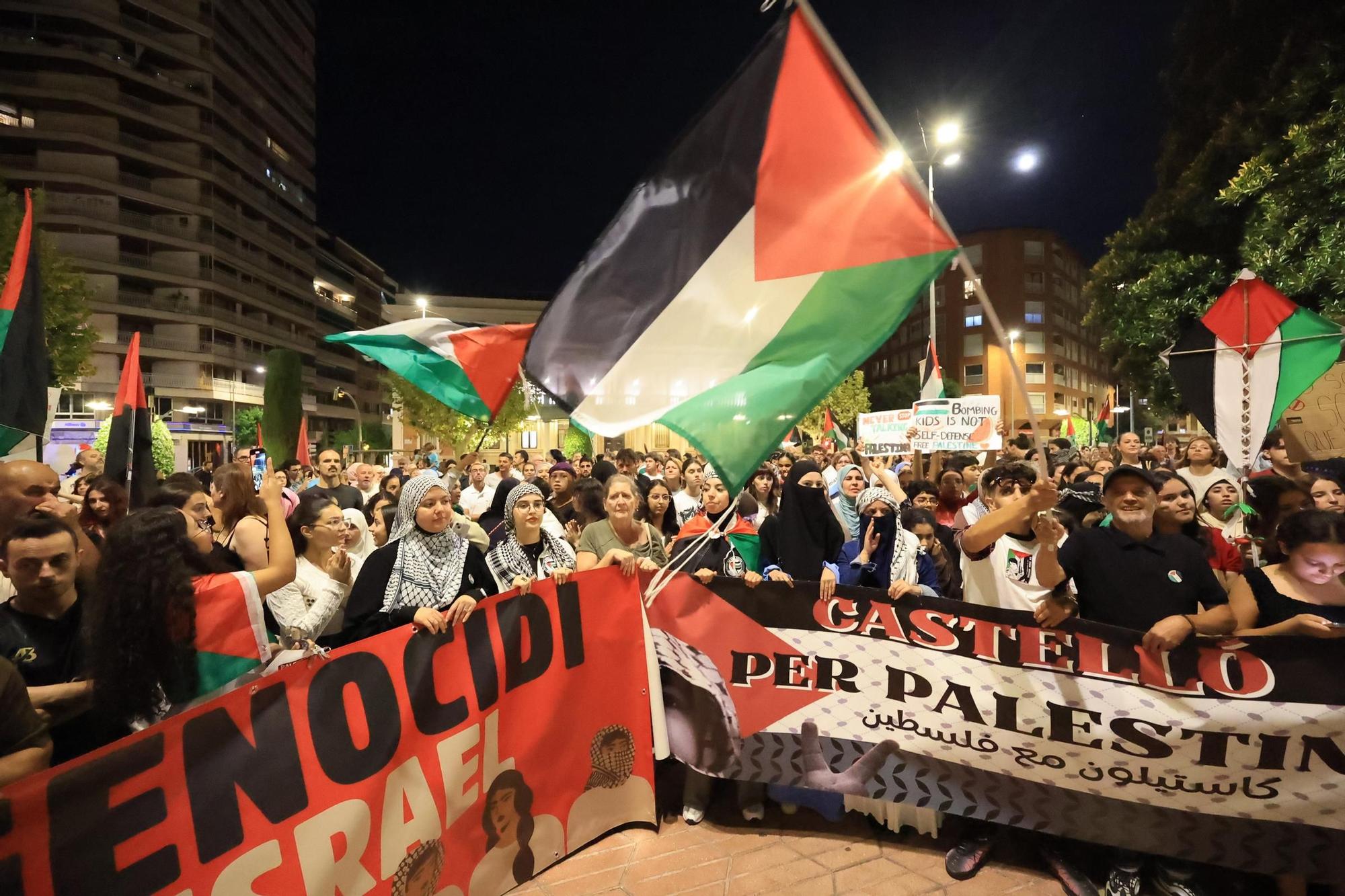 Galería de imágenes: Castellón sale a la calle en defensa de Palestina