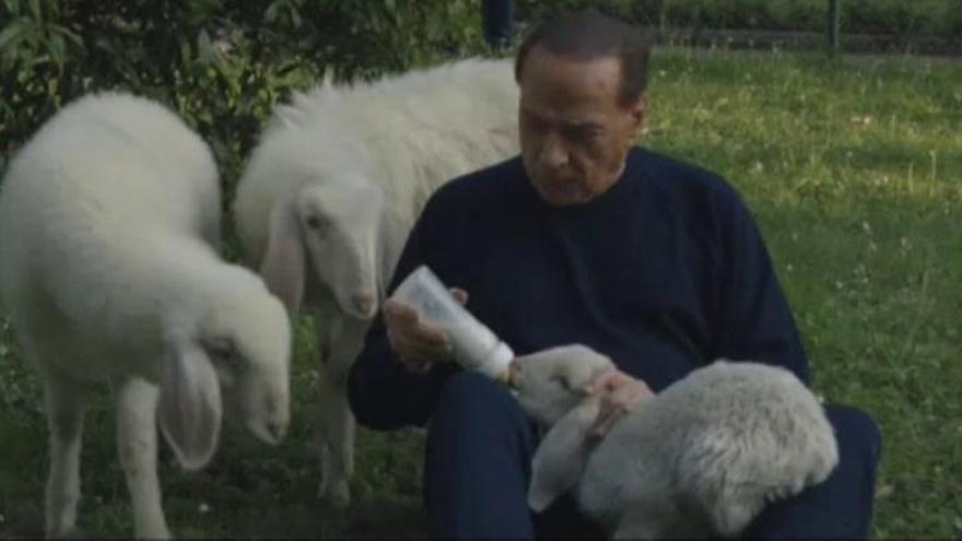 Silvio Berlusconi adopta a cinco corderos