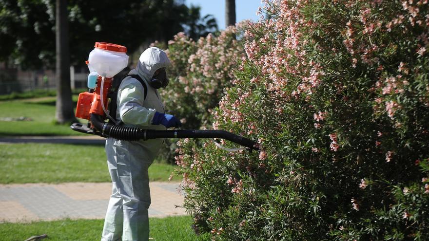 Registrado un foco de fiebre del Nilo en un picadero de Huelva