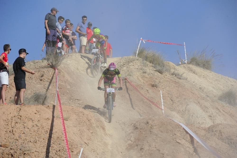 Mountain bike en Molina de Segura