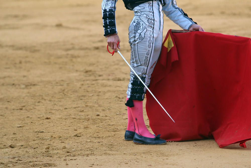 Las imágenes de la corrida picassiana en La Malagueta.