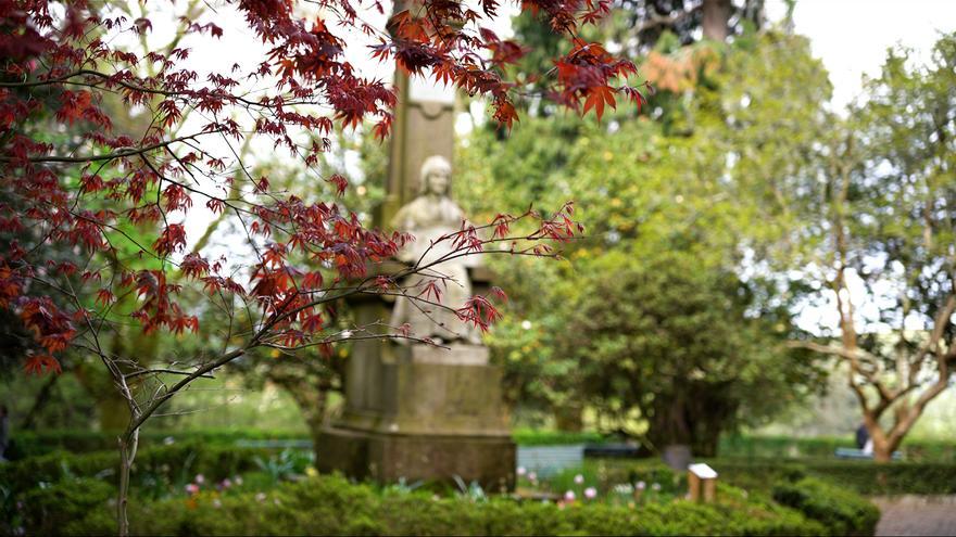 Unha app permite descubrir as árbores máis singulares dos 20 parques de Compostela