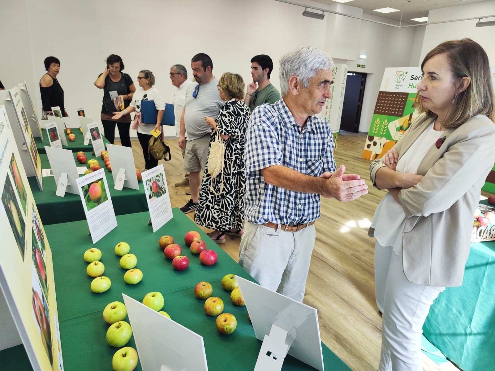 El Festival de la Manzana arranca en Villaviciosa: exposiciones, talleres y actividades infantiles