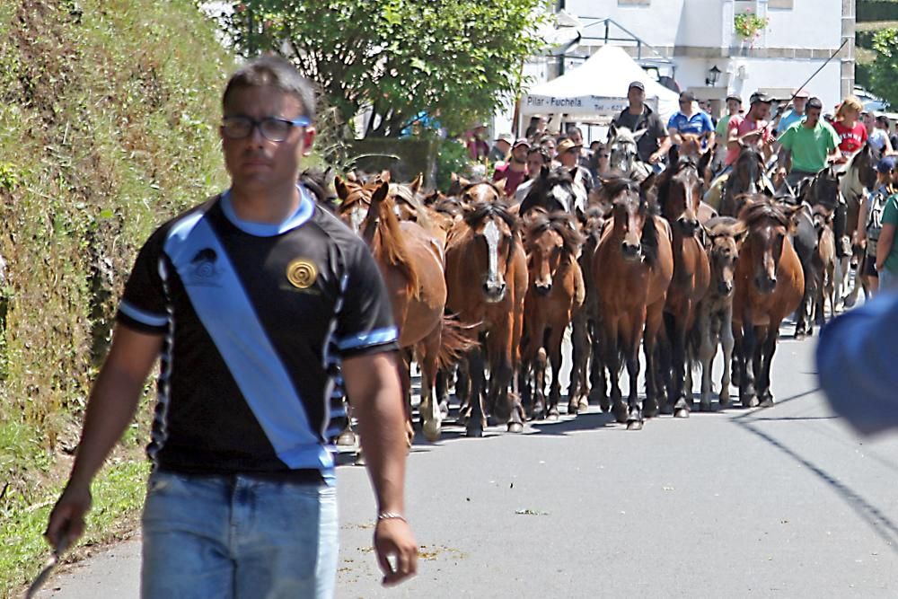 El primer curro de la Rapa das Bestas de Sabucedo // Bernabé / J. Carlos Asorey