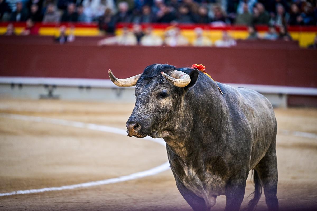 Primera jornada de la feria taurina de la Magdalena, en imágenes