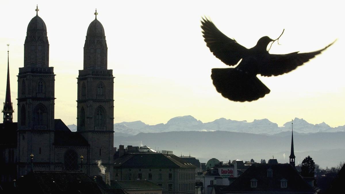 Una paloma sobrevuela las torres gemelas de la Catedral de Zúrich llevando una ramita en su pico