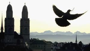 Una paloma sobrevuela las torres gemelas de la Catedral de Zúrich llevando una ramita en su pico.