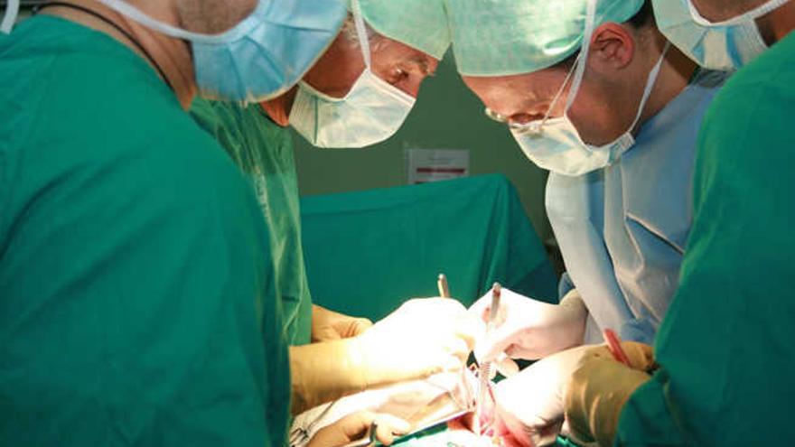 Se realizaron 108 trasplantes de riñón en 2014 en Canarias