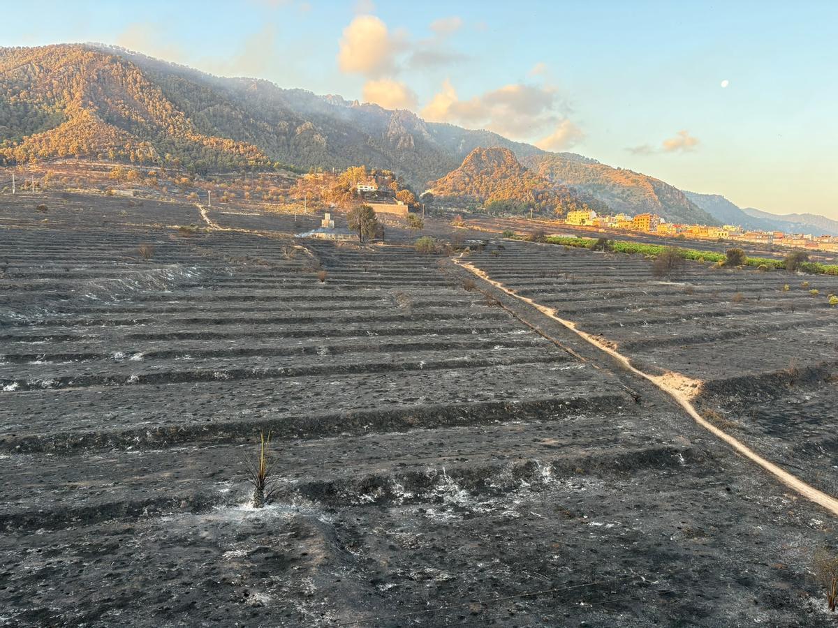 Superficie devastada por el incendio en la zona de Los Garres donde ayer se produjo el incendio