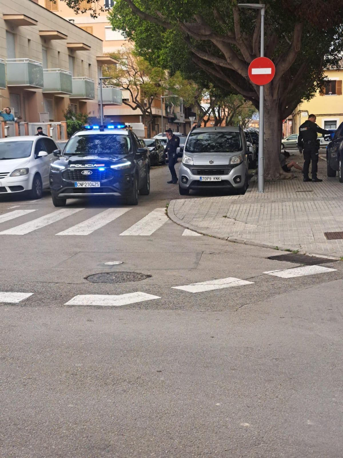 Imagen del intento de secuestro de la mujer en Son Ferriol