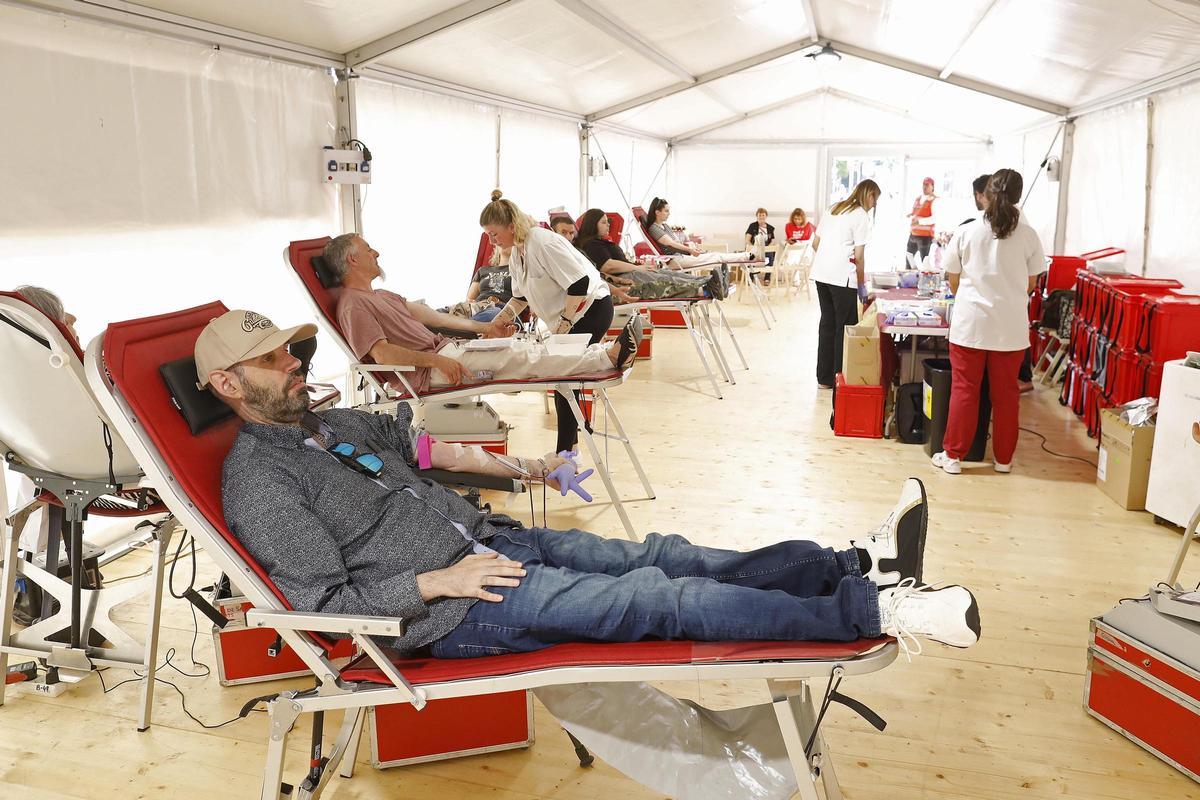 Les fotos de la donació de sang en el marc de Temps de Flors