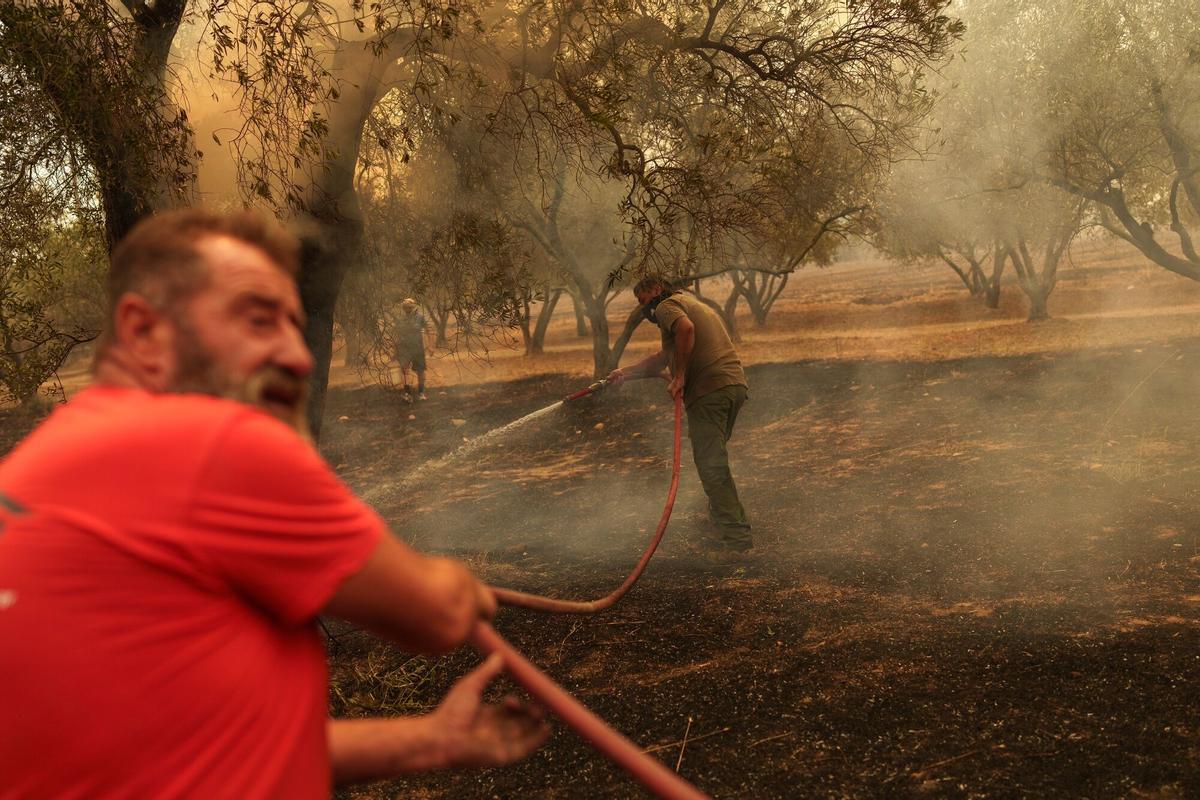 Al menos a 26 personas muertas en una nueva ola de incendios en Grecia