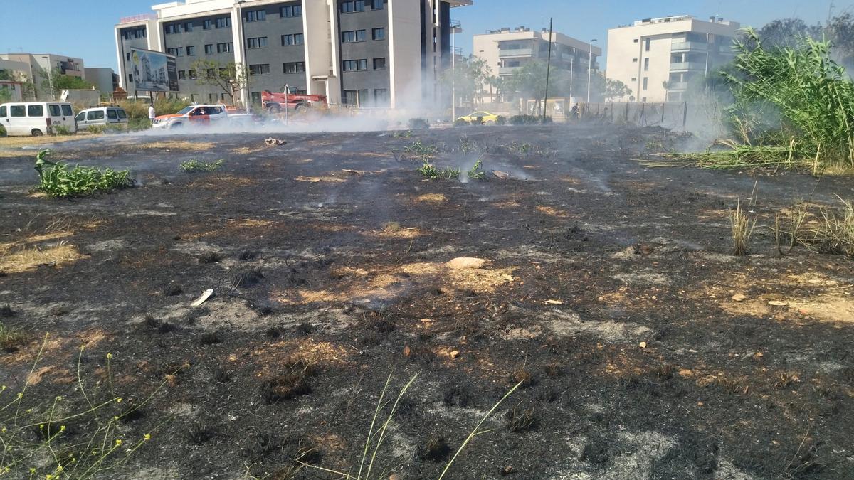 El incendio estaba próximo a fincas de apartamentos del Arenal