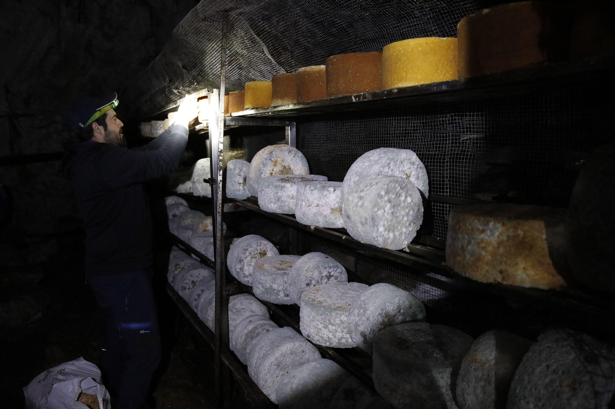 Así se elabora el gamonéu del Puertu: de la cueva a la mesa.