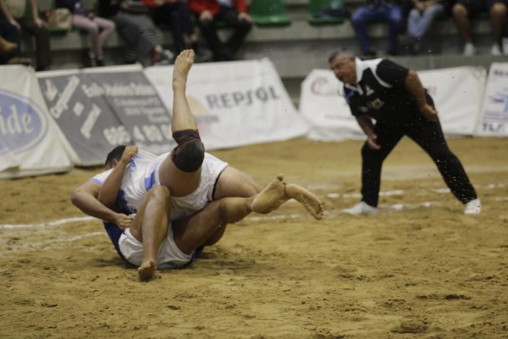 Luchada entre el Tegueste y el Chimisay