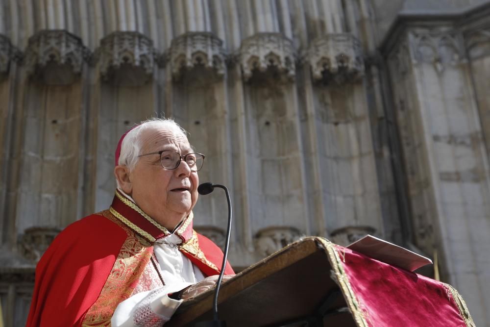 Benedicció de Rams a la Catedral de Girona